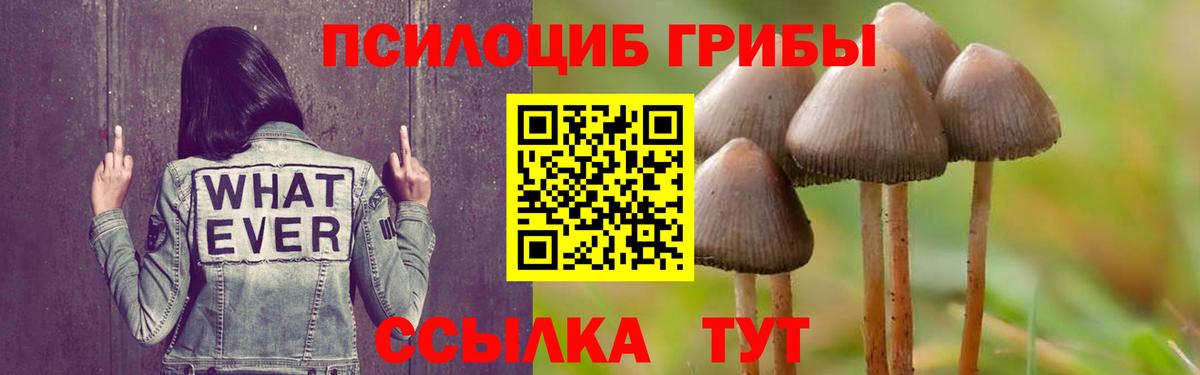 Гуково  Галлюциногенные грибы ЛСД  сколько стоит  Вход с VPN 